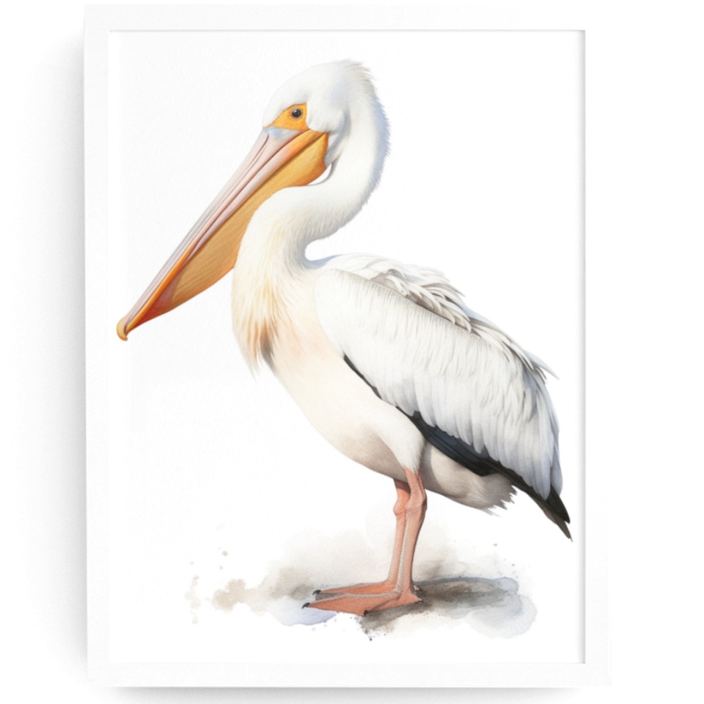 White Pelican Bird Wall Art Watercolor Illustration Print Poster Unframed